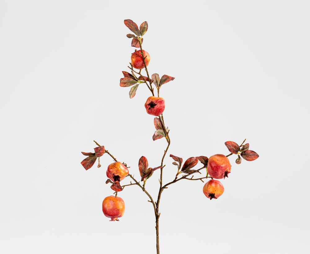 PomegranateFruit Branch28X82