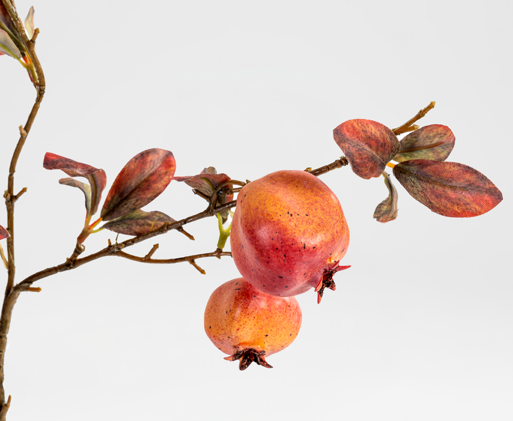 PomegranateFruit Branch28X82