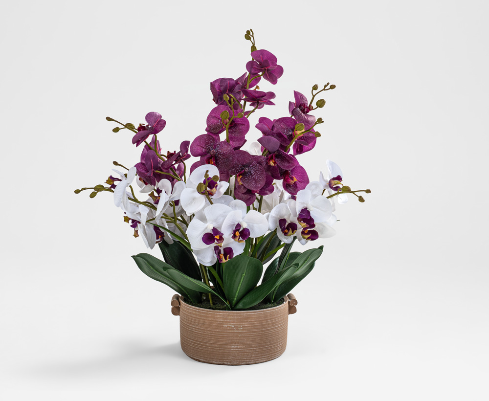 Artificial Phalaenopsis Arrangement with pot