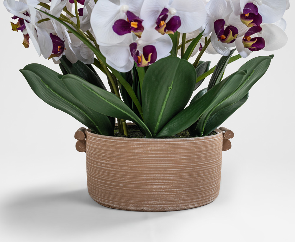Artificial Phalaenopsis Arrangement with pot