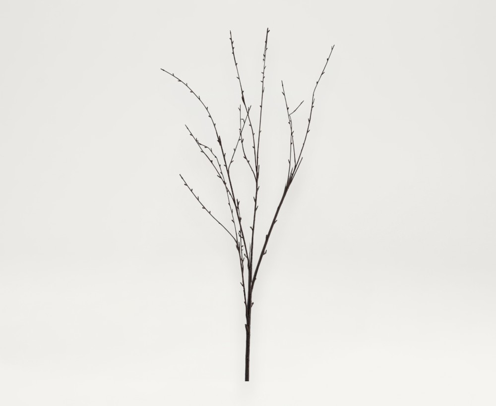 Artificial Osier Branch - 125 CM