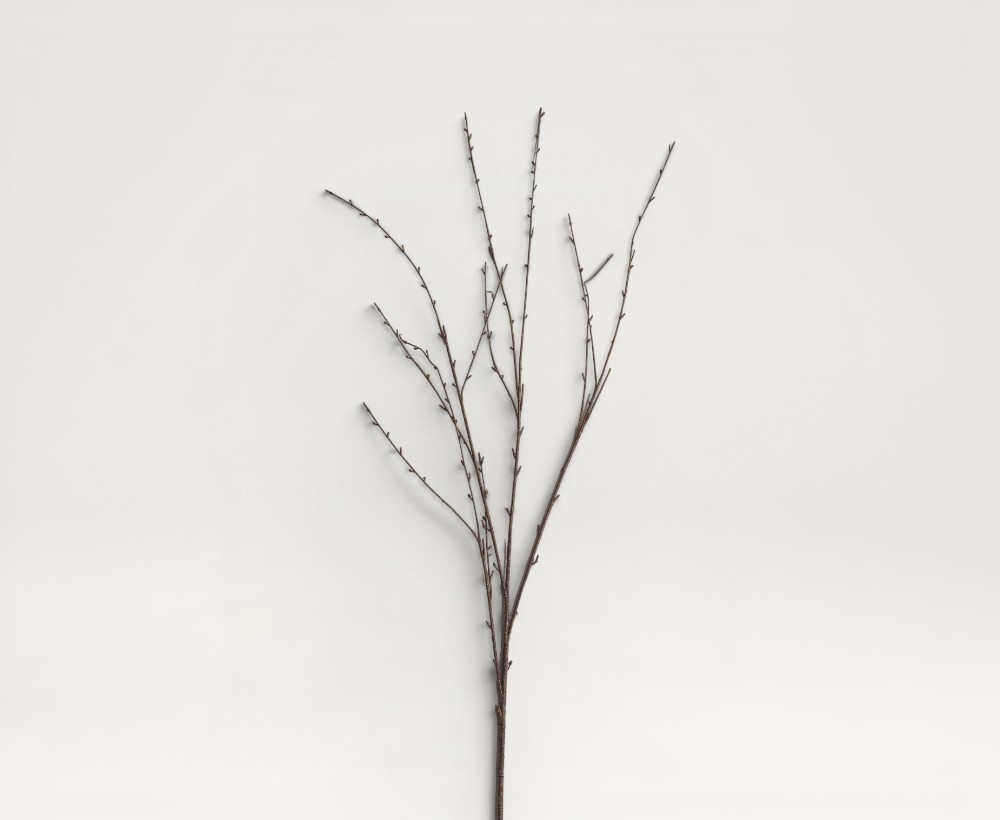 Artificial Osier Branch - 125 CM