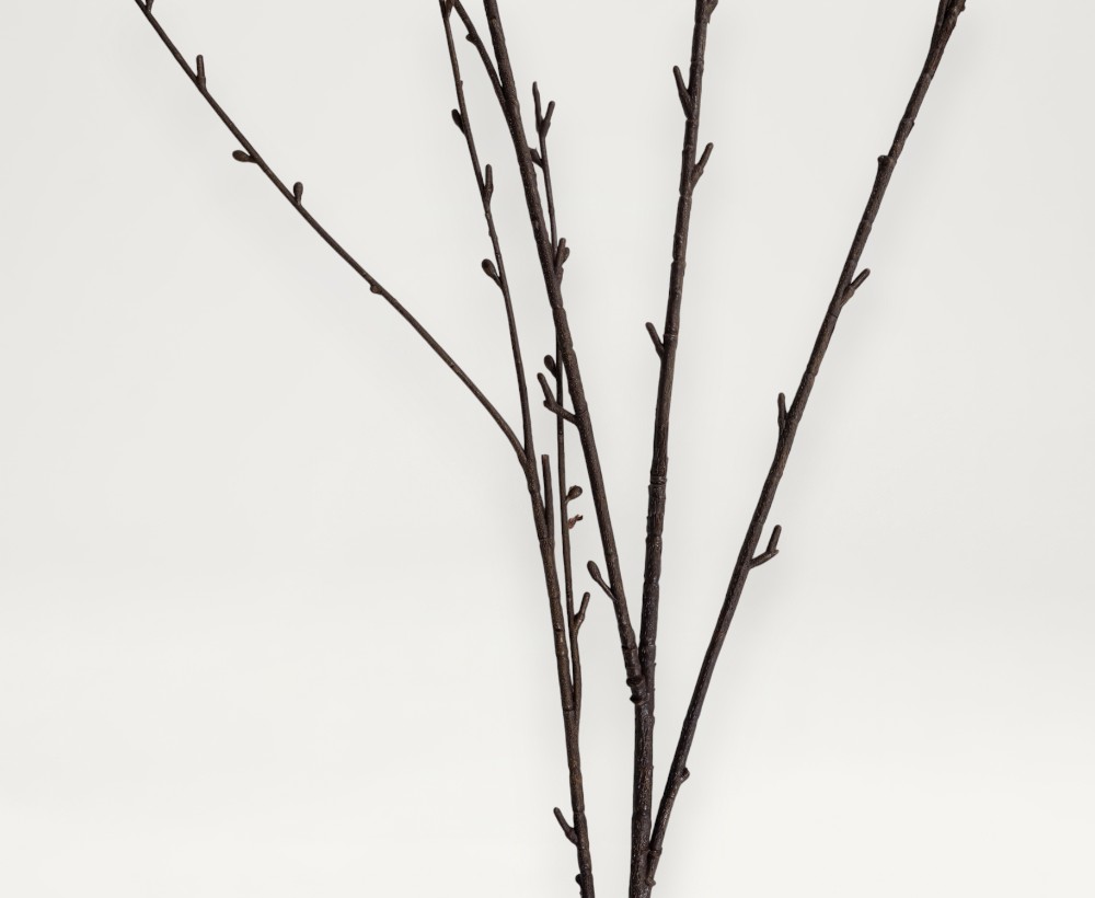 Artificial Osier Branch - 125 CM