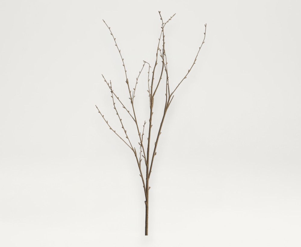 Artificial Osier Branch - 125 CM