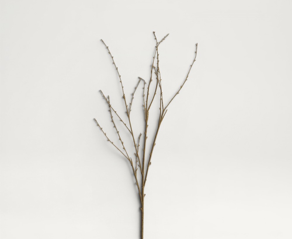 Artificial Osier Branch - 125 CM