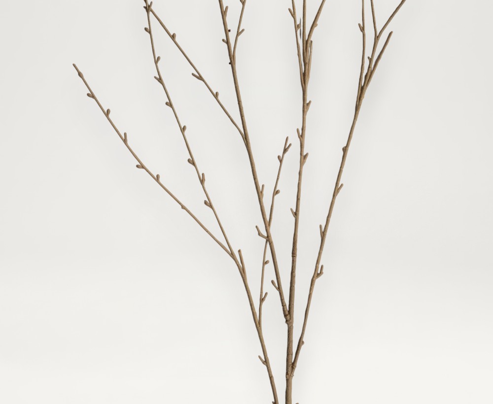 Artificial Osier Branch - 125 CM