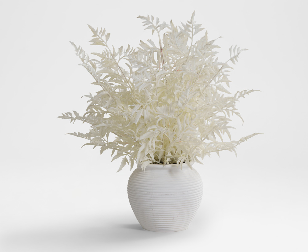Maple Plant - 45 CM